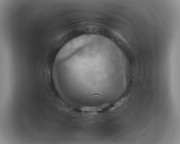 X0000111391013200907311109