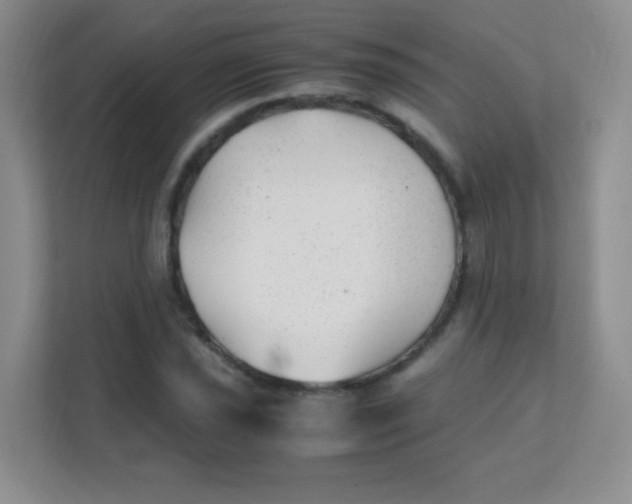 X0000111391021200907311109