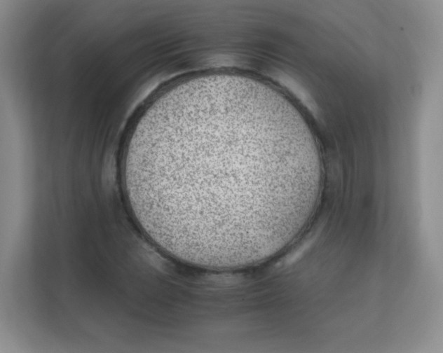 X0000111391023200907311109