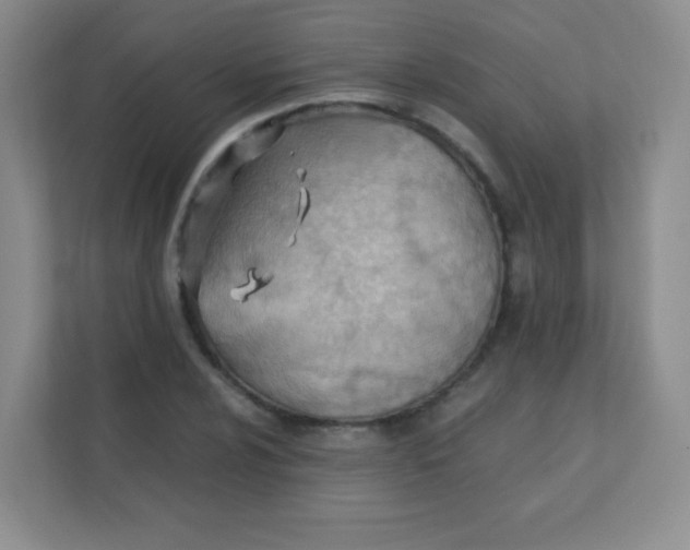 X0000111391024200907311109