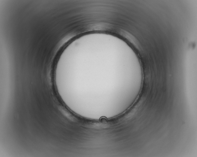 X0000111391026200907311109