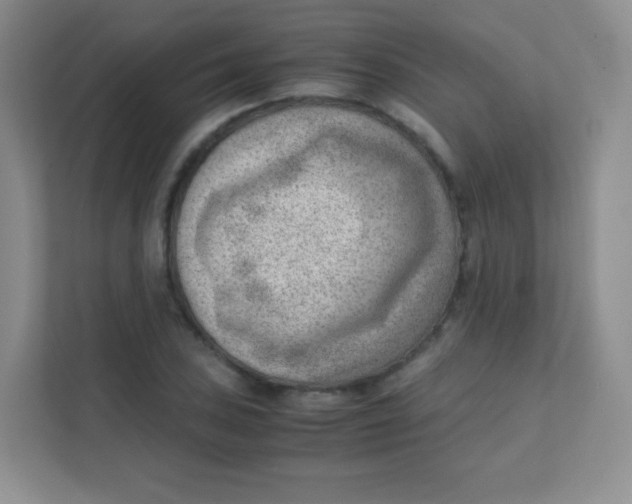 X0000111391027200907311109