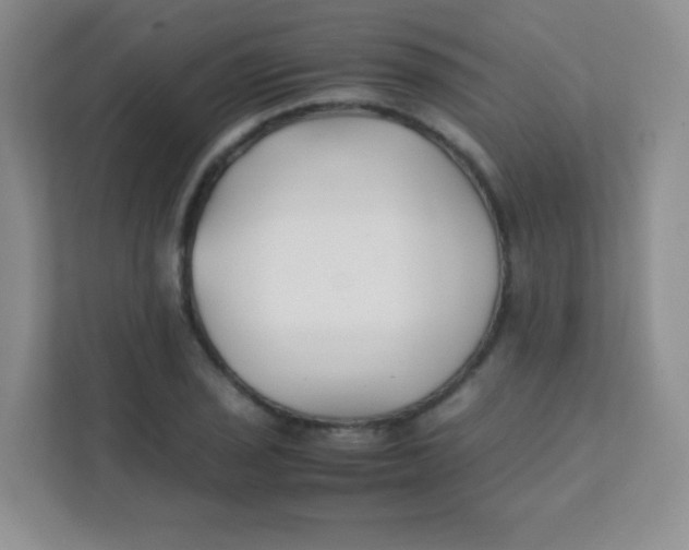 X0000111391029200907311109