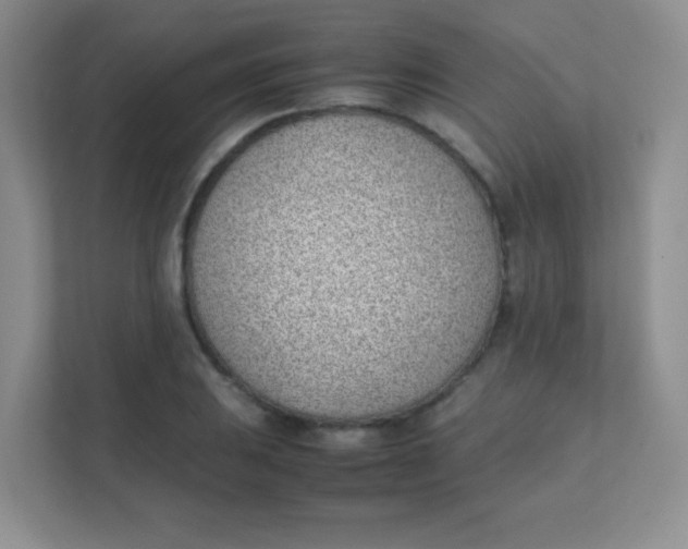 X0000111391031200907311109