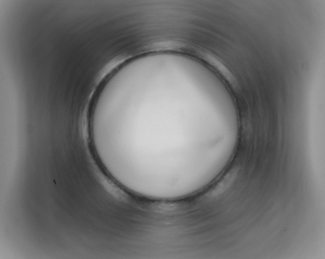 X0000111391034200907311109