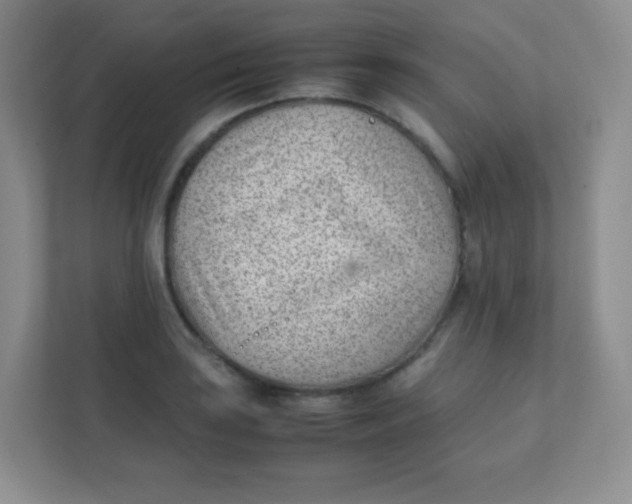 X0000111391035200907311109