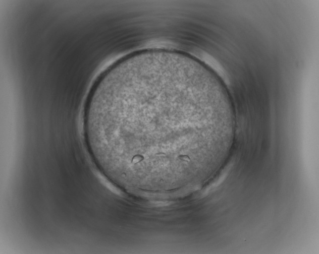 X0000111391037200907311109