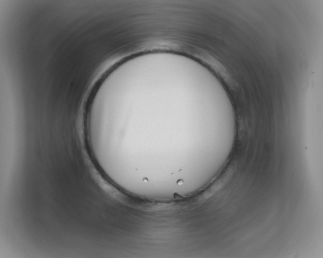 X0000111391038200907311109