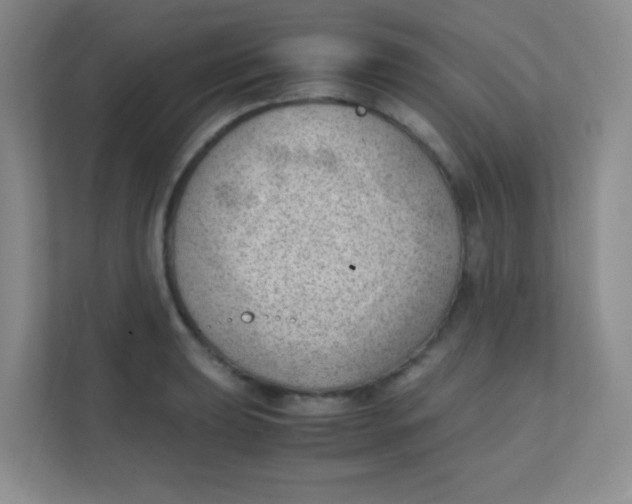 X0000111391039200907311109