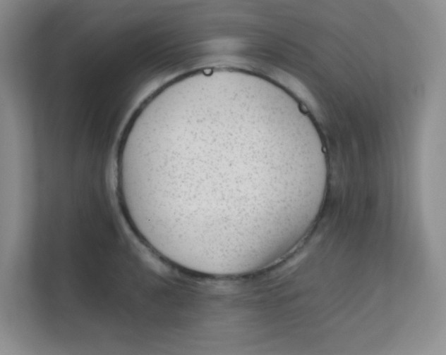 X0000111391040200907311109