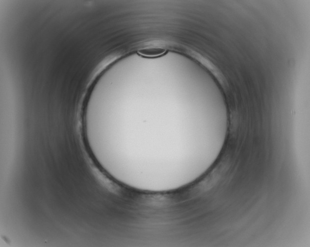 X0000111391042200907311109