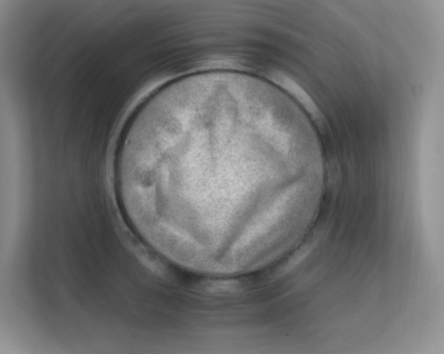 X0000111391043200907311109