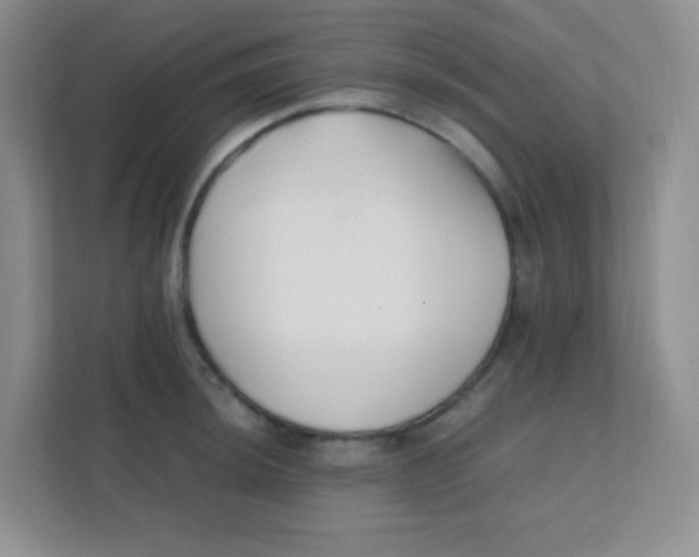 X0000111391044200907311110