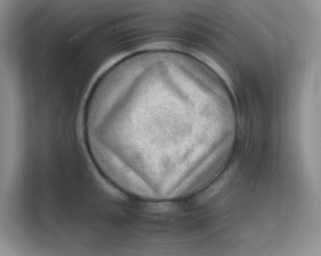 X0000111391045200907311110