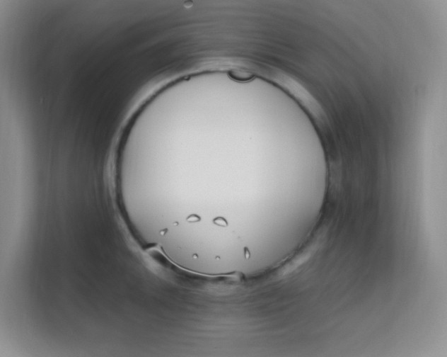 X0000111391046200907311110