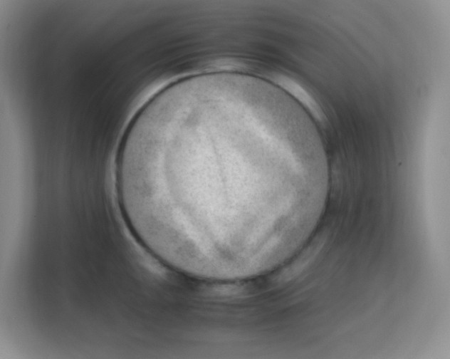 X0000111391047200907311110