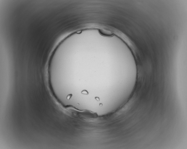 X0000111391048200907311110