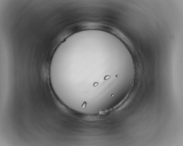 X0000111391049200907311110