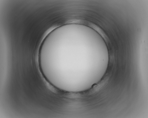 X0000111391050200907311110