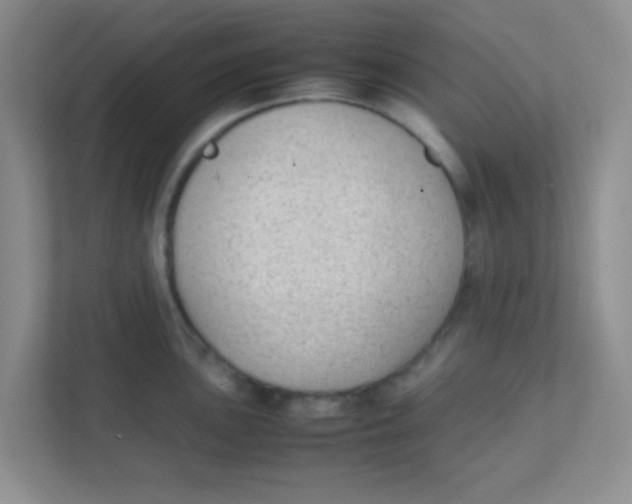 X0000111391051200907311110