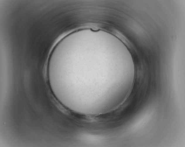 X0000111391052200907311110