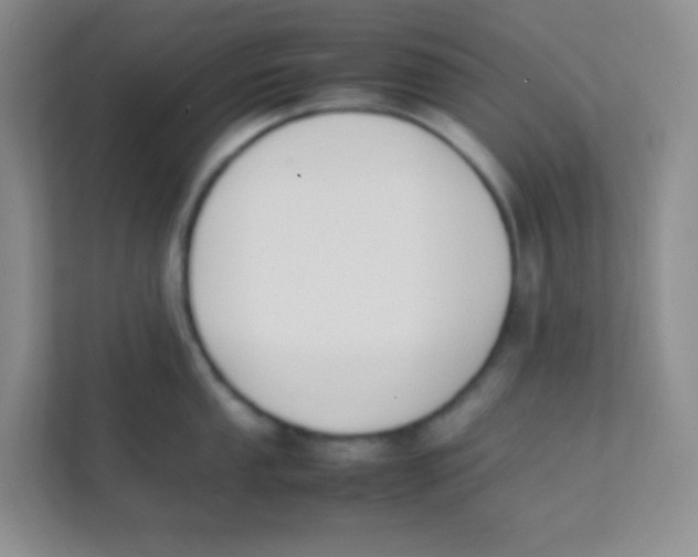 X0000111391053200907311110