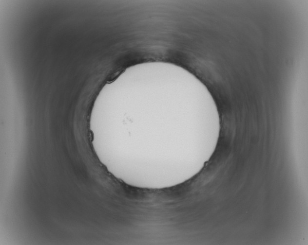 X0000111391057200907311109