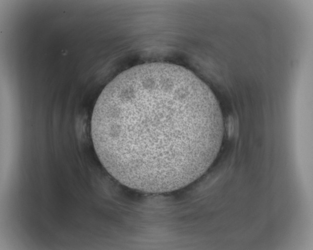 X0000111391059200907311109