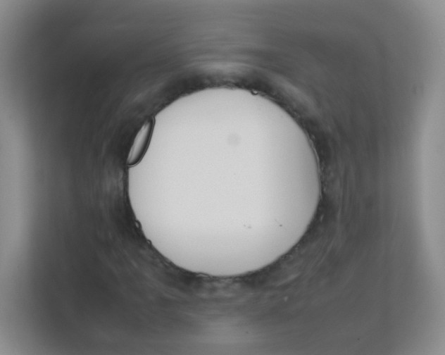 X0000111391061200907311109