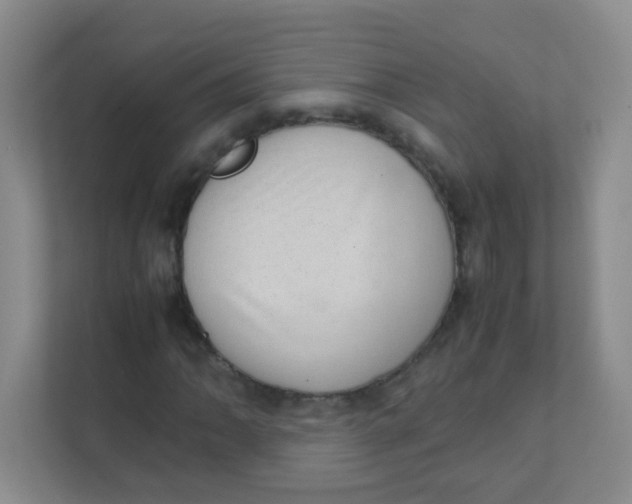 X0000111391062200907311109