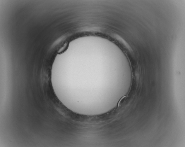 X0000111391064200907311109