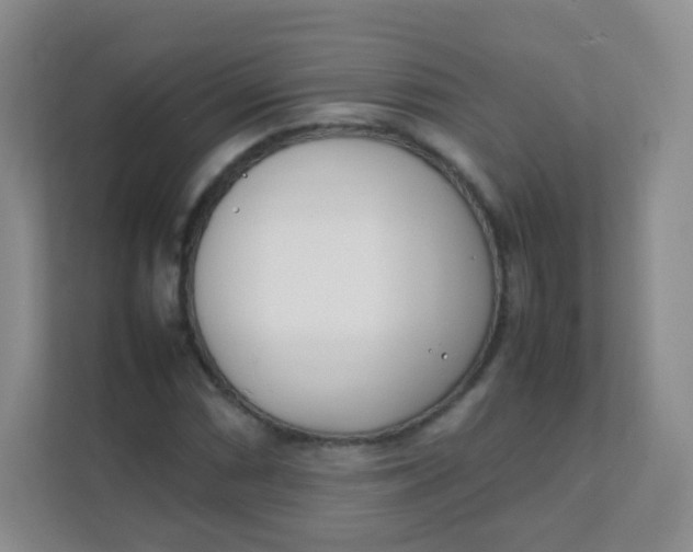 X0000111391066200907311109