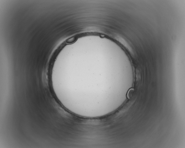 X0000111391068200907311109