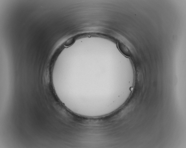 X0000111391069200907311109