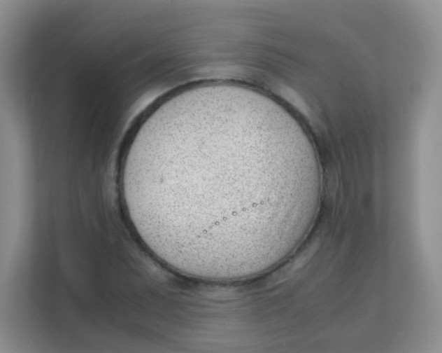 X0000111391071200907311109