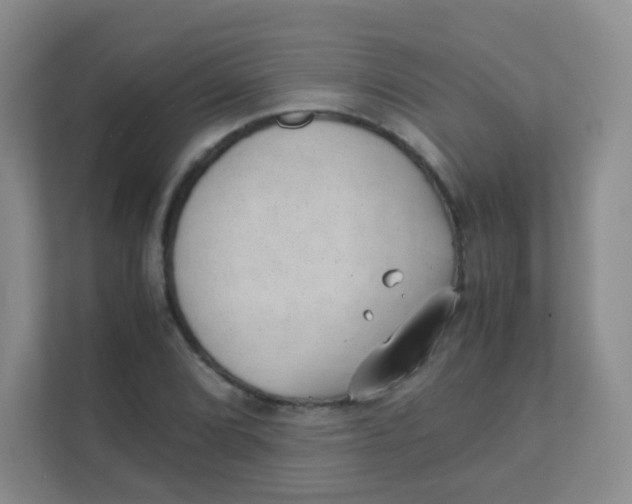 X0000111391072200907311109