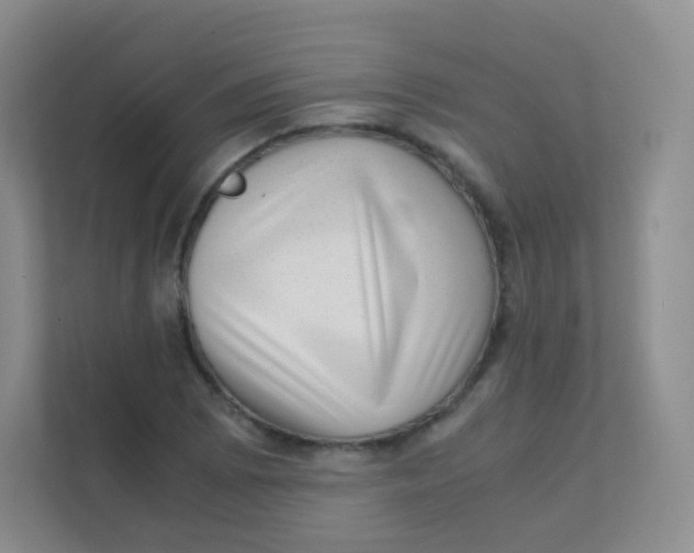 X0000111391073200907311109