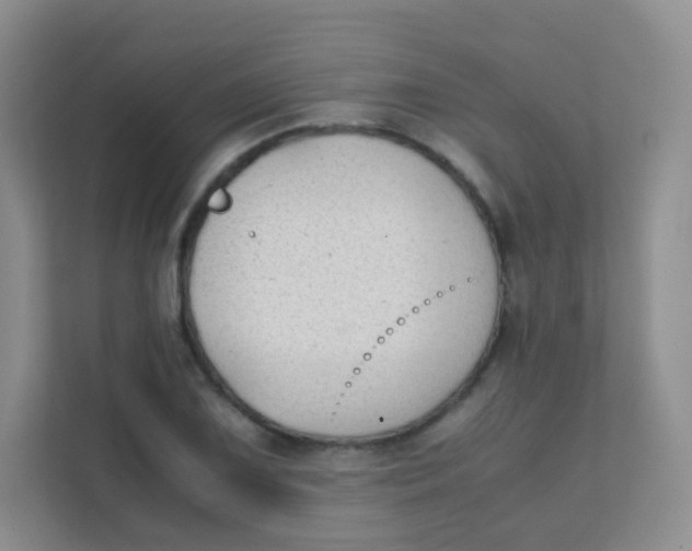 X0000111391075200907311109