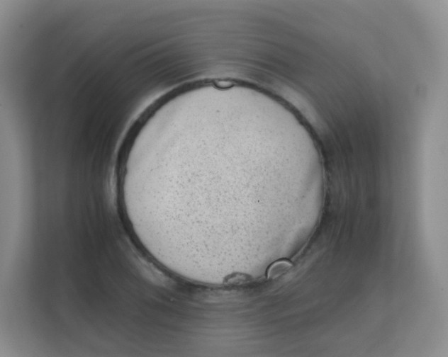 X0000111391076200907311109