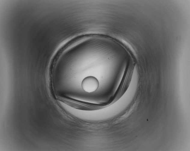 X0000111391077200907311109