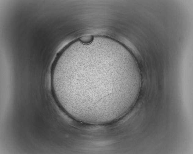 X0000111391079200907311109