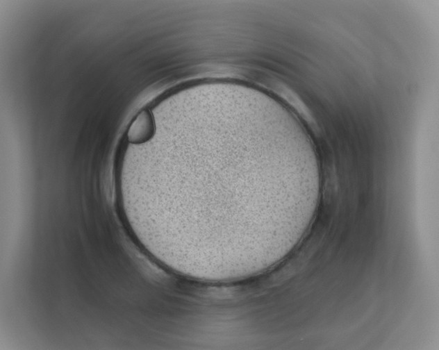 X0000111391080200907311109