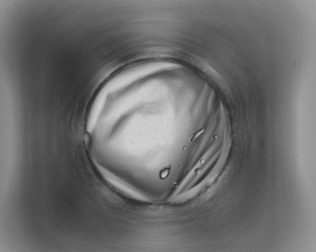 X0000111391081200907311109