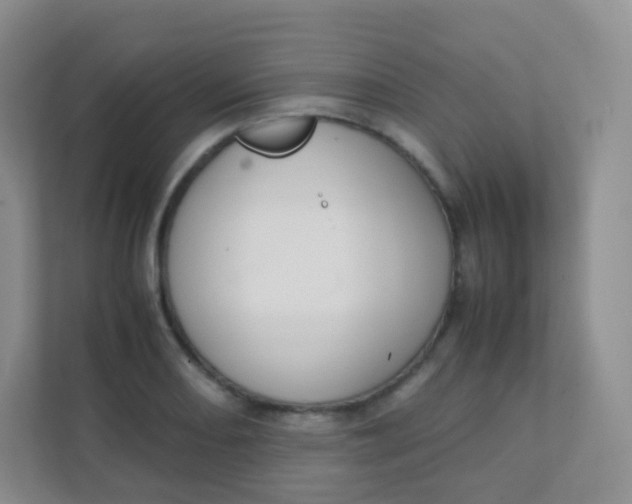 X0000111391082200907311109