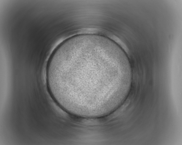 X0000111391083200907311109