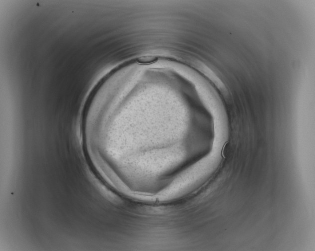 X0000111391084200907311109