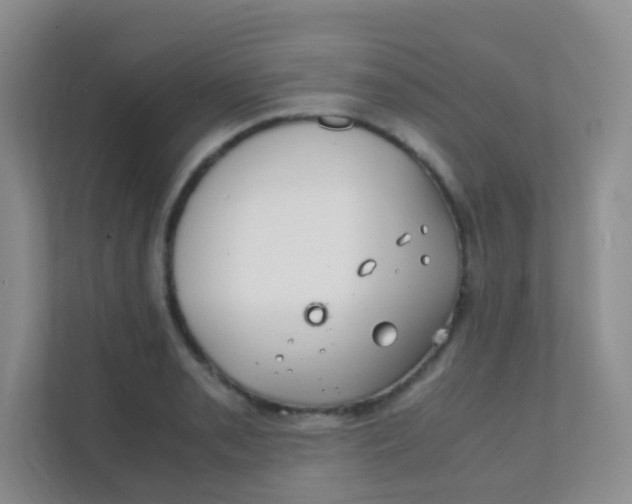 X0000111391085200907311109