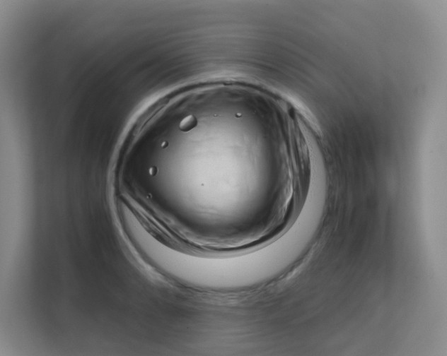 X0000111391086200907311109