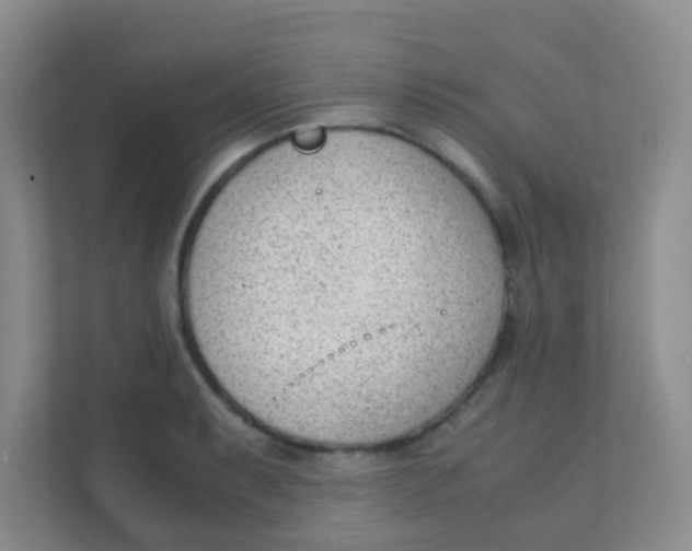 X0000111391087200907311109