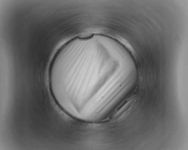 X0000111391088200907311109